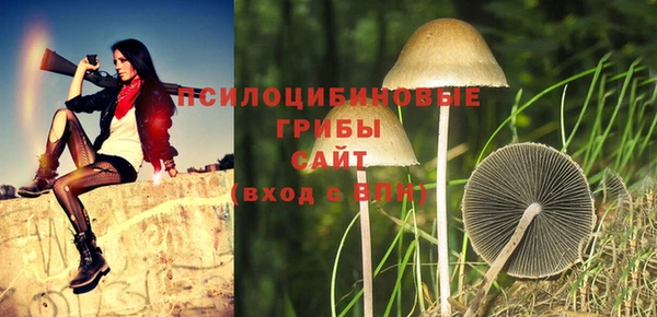 соль ск Магас