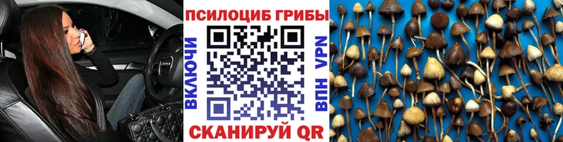 Галлюциногенные грибы Psilocybine cubensis  Купить где  Жуков 